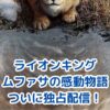 ライオンキング ムファサが独占配信！感動の兄弟物語を自宅でアイキャッチ